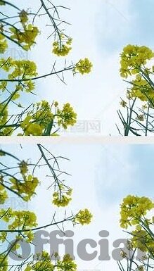 90足球新比分网-90足球新比分网，球迷的实时数据乐园与赛事分析新阵地